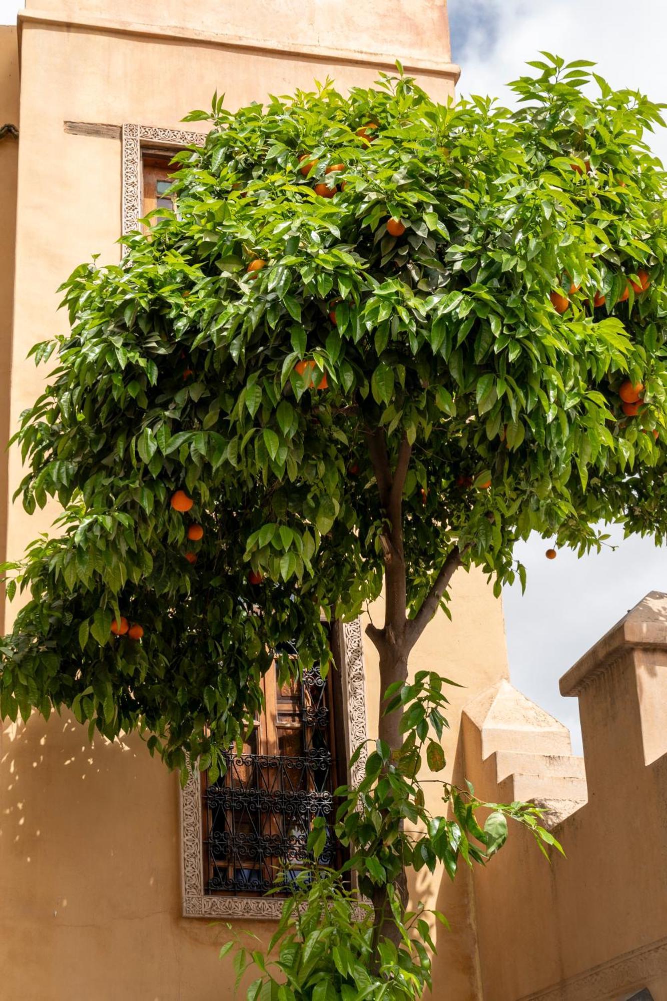 Guest house Layalina